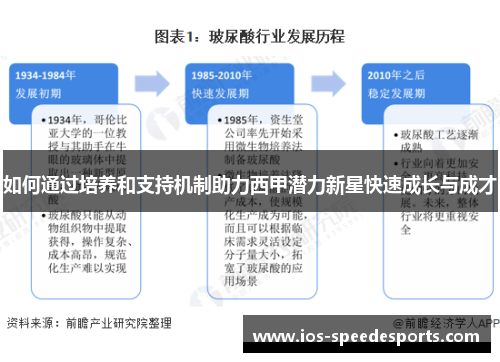 如何通过培养和支持机制助力西甲潜力新星快速成长与成才