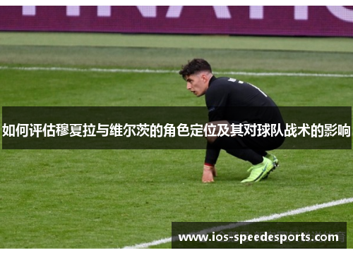 如何评估穆夏拉与维尔茨的角色定位及其对球队战术的影响