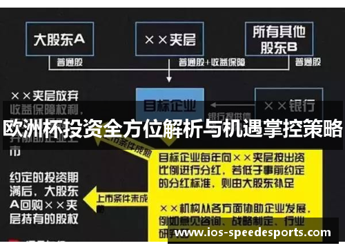 欧洲杯投资全方位解析与机遇掌控策略